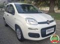 usato FIAT Panda