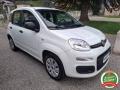 usato FIAT Panda