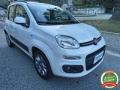 usato FIAT Panda