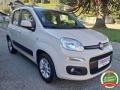 usato FIAT Panda