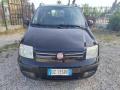 usato FIAT Panda