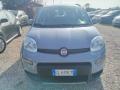 usato FIAT Panda
