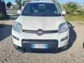 usato FIAT Panda