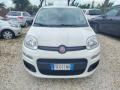usato FIAT Panda