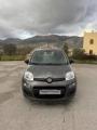 usato FIAT Panda