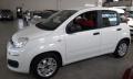 usato FIAT Panda