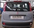 usato FIAT Panda