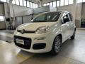 usato FIAT Panda