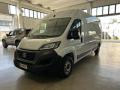 usato FIAT Ducato