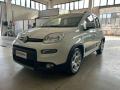 usato FIAT Panda