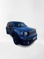 usato JEEP Renegade