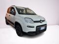 usato FIAT Panda