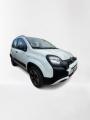 usato FIAT Panda Cross
