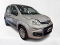 usato FIAT Panda