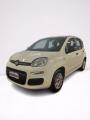 usato FIAT Panda