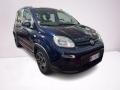 usato FIAT Panda