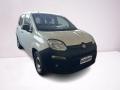 usato FIAT Panda