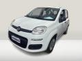 usato FIAT Panda