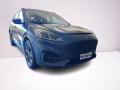 usato FORD Kuga