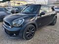 usato MINI Paceman