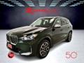 usato BMW X1
