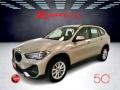 usato BMW X1