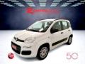 usato FIAT Panda