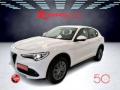 usato ALFA ROMEO Stelvio