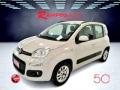usato FIAT Panda