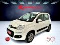 usato FIAT Panda