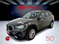usato BMW X1