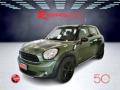usato MINI Countryman