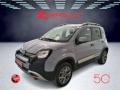 usato FIAT Panda Cross