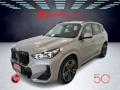 usato BMW X1