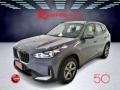 usato BMW X1