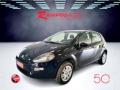 usato FIAT Punto