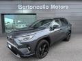 usato TOYOTA RAV 4