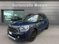 usato MINI Countryman