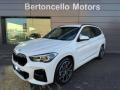 usato BMW X1