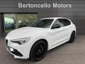 usato ALFA ROMEO Stelvio