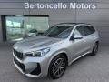 usato BMW X1