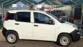 usato FIAT Panda