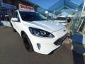 usato FORD Kuga