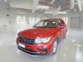 usato VOLKSWAGEN Tiguan