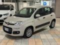 usato FIAT Panda