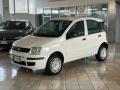 usato FIAT Panda