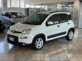 usato FIAT Panda