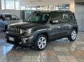 usato JEEP Renegade
