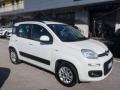 usato FIAT Panda
