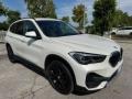 usato BMW X1